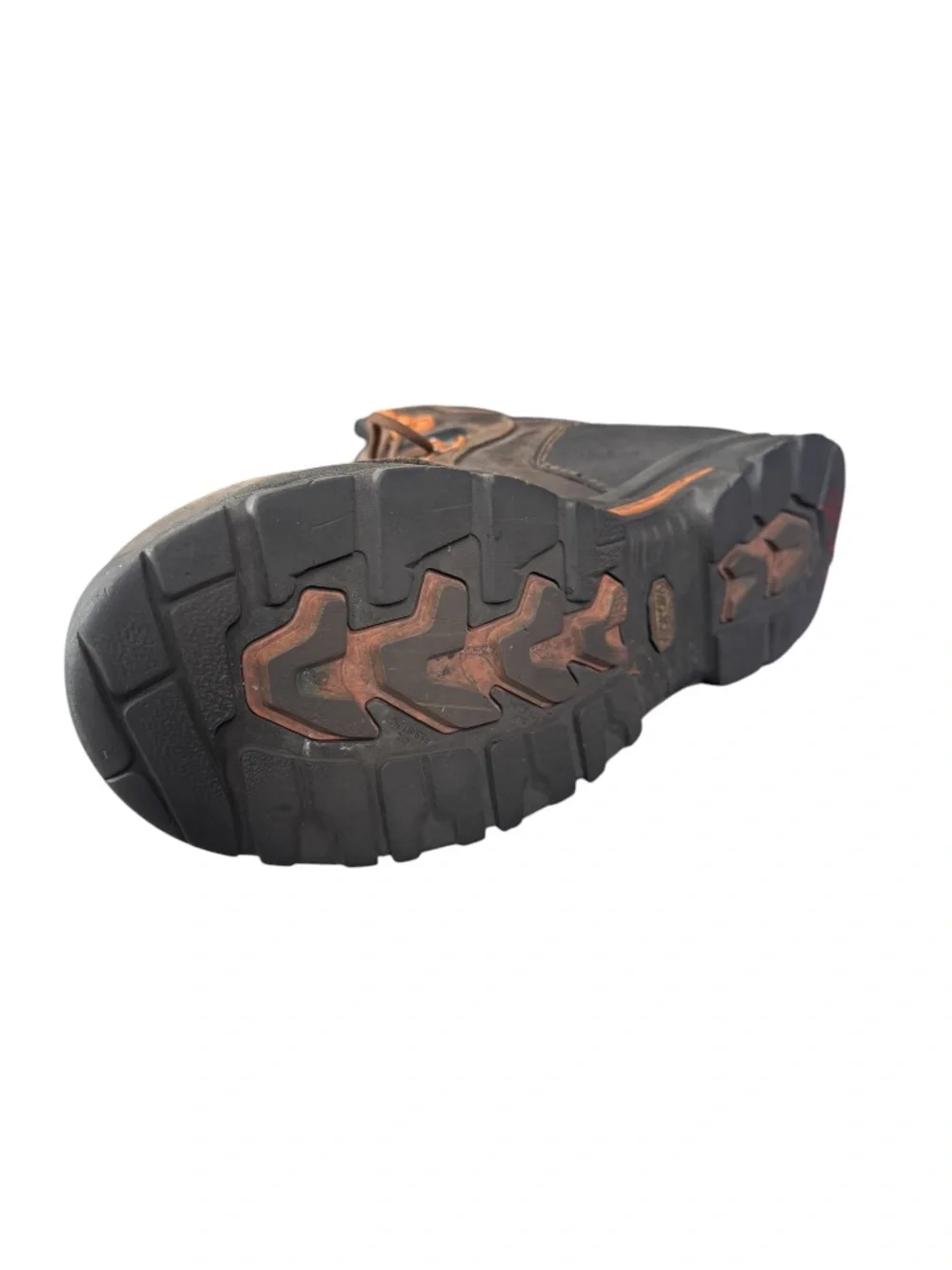 Danner Men's Vicious 6